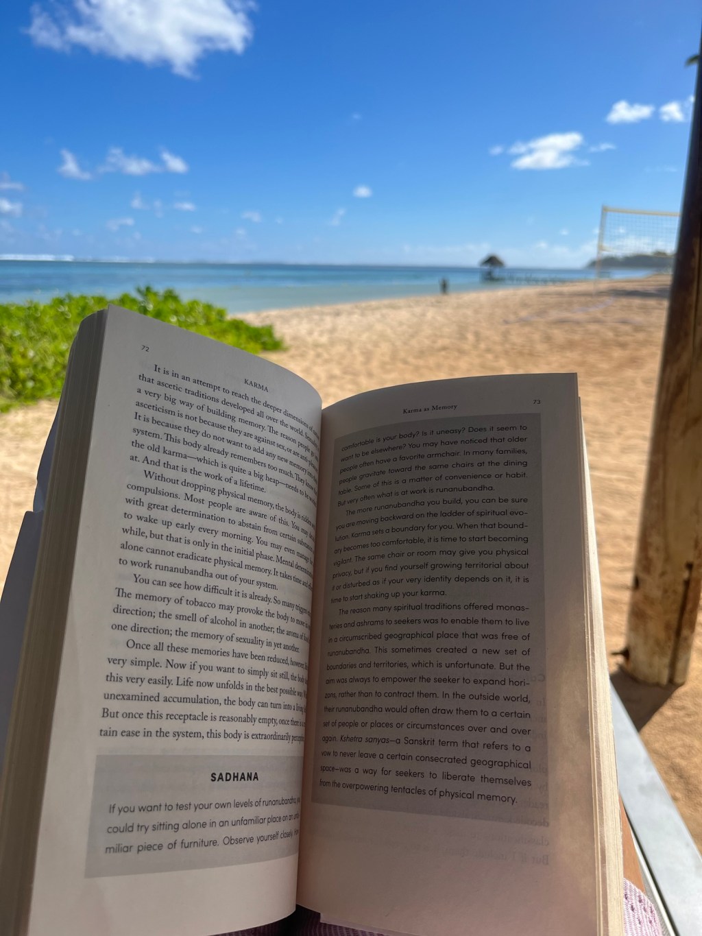 Sunday reading – my love for books